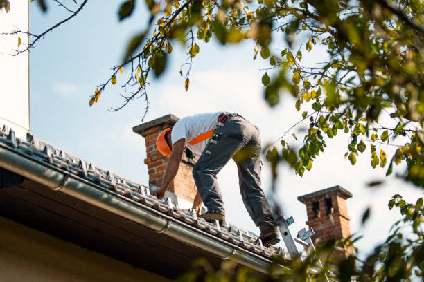 Best Hot Roofs  in Lexington, MI