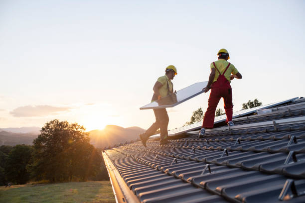 Best Storm Damage Roof Repair  in Lexington, MI