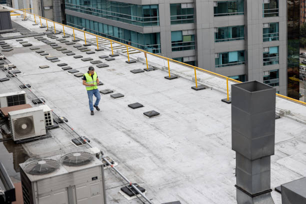 Best Roof Coating and Sealing  in Lexington, MI