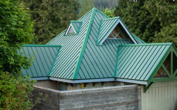 Best Roof Maintenance and Cleaning  in Lexington, MI