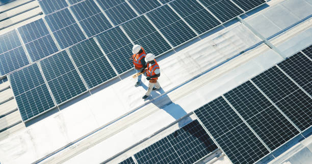 Best Cold Roofs  in Lexington, MI
