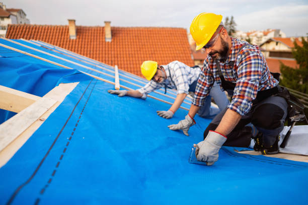 Best Gutter Installation and Repair  in Lexington, MI