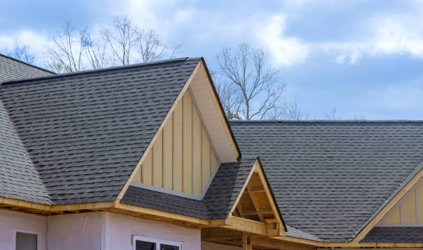 Best Roofing for New Construction  in Lexington, MI