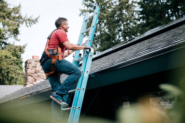 Best Siding  in Lexington, MI