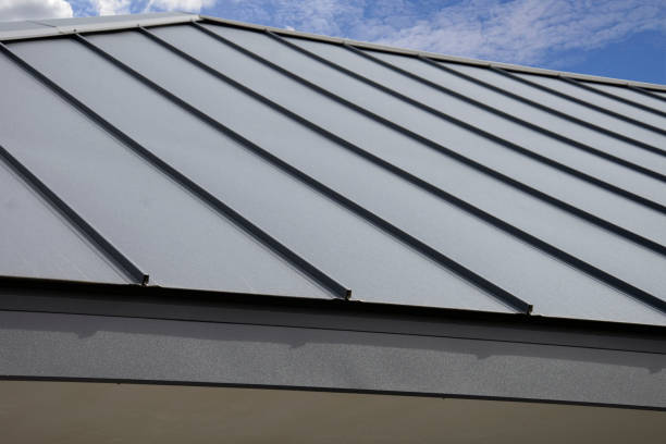 Best Roof Insulation Installation  in Lexington, MI