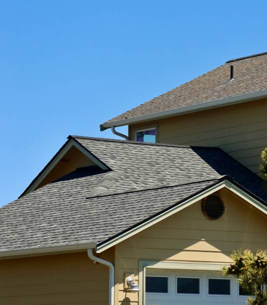Best Metal Roofing Installation  in Lexington, MI